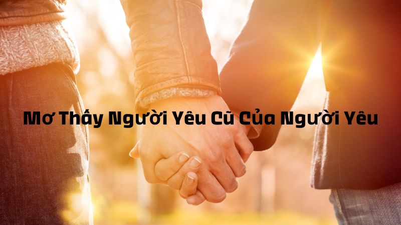 Tại Sao Mơ Thấy Người Yêu Cũ Của Người Yêu?