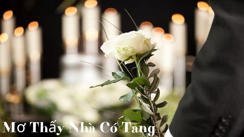 Mơ Thấy Nhà Có Tang Là Điềm Báo Gì?